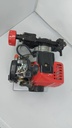 Motor completo, Bomba y soporte de motor para Motopulverizador COMETA x 30 lts móvil
